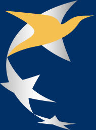 European Aviation Safety Agency (EASA)