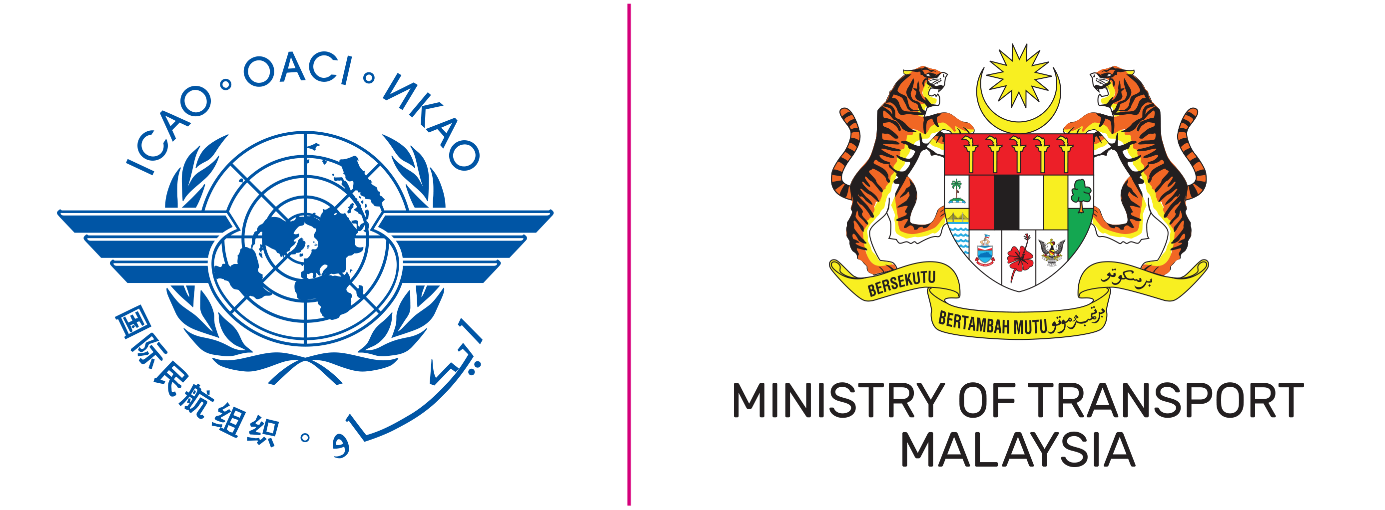ICAO-MTM.png