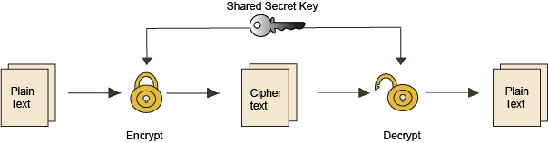 Basics Page _ Image 1.png