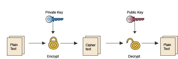 Basics Page _ Image 2.png