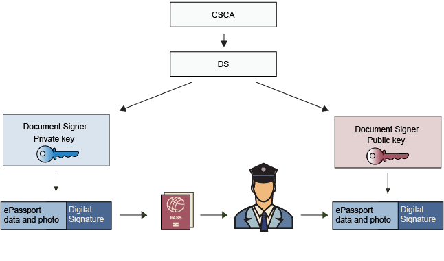 Basics Page _ Image 4.png